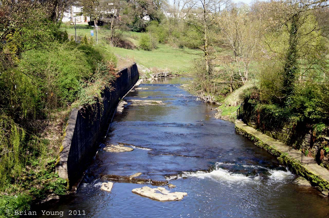 The River Darwen at Feniscowles. Photograph supplied by and  of Brian Young