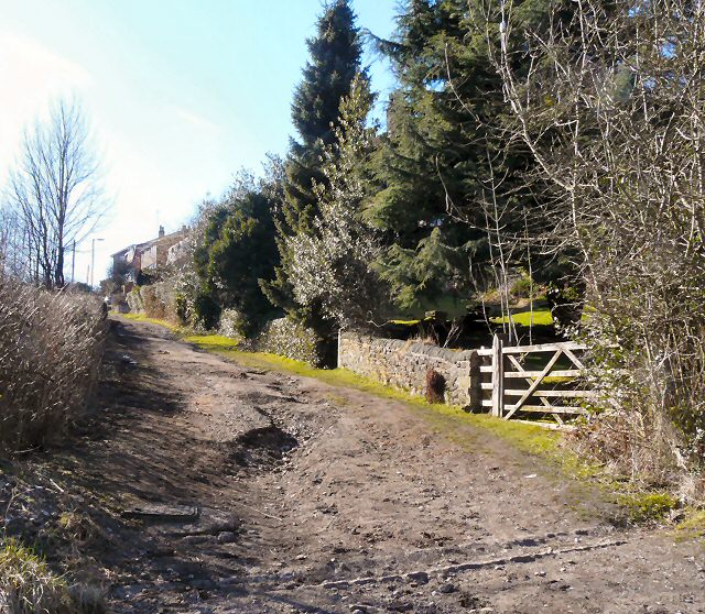 Gibraltar Lane, Haughton