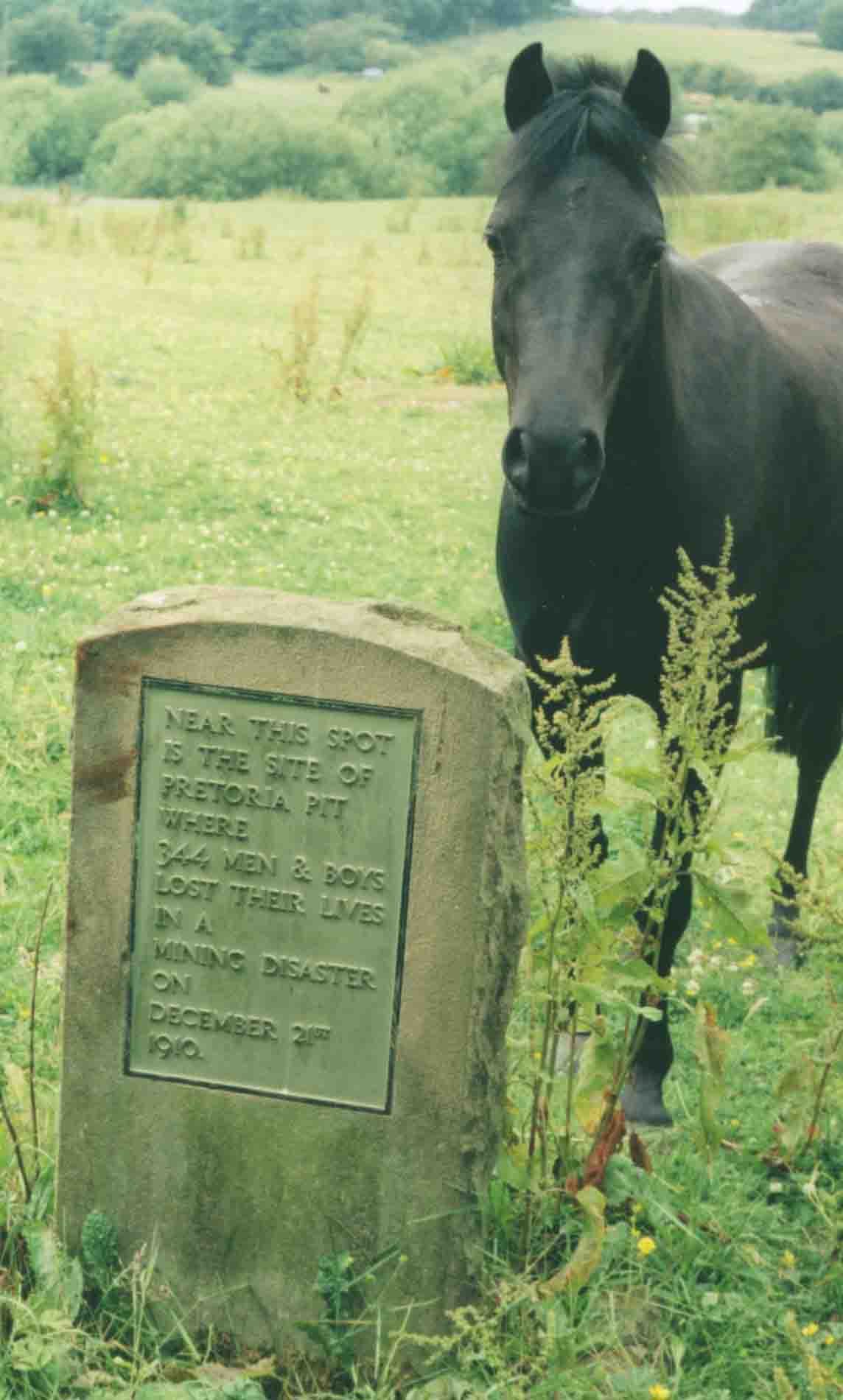 The monument unveiled 19 Sep 1976, located at the end of Broadway off Newbrook Road in Over Hulton, just north of the Atherton boundary. The wording is confusing: in the same field are two concrete caps (out of view) covering shallow 19th century shafts sunk to the Black & White Mine. They are unrelated to Pretoria Pit which was   a mile further to the west. Photo by Peter Wood, June 2003